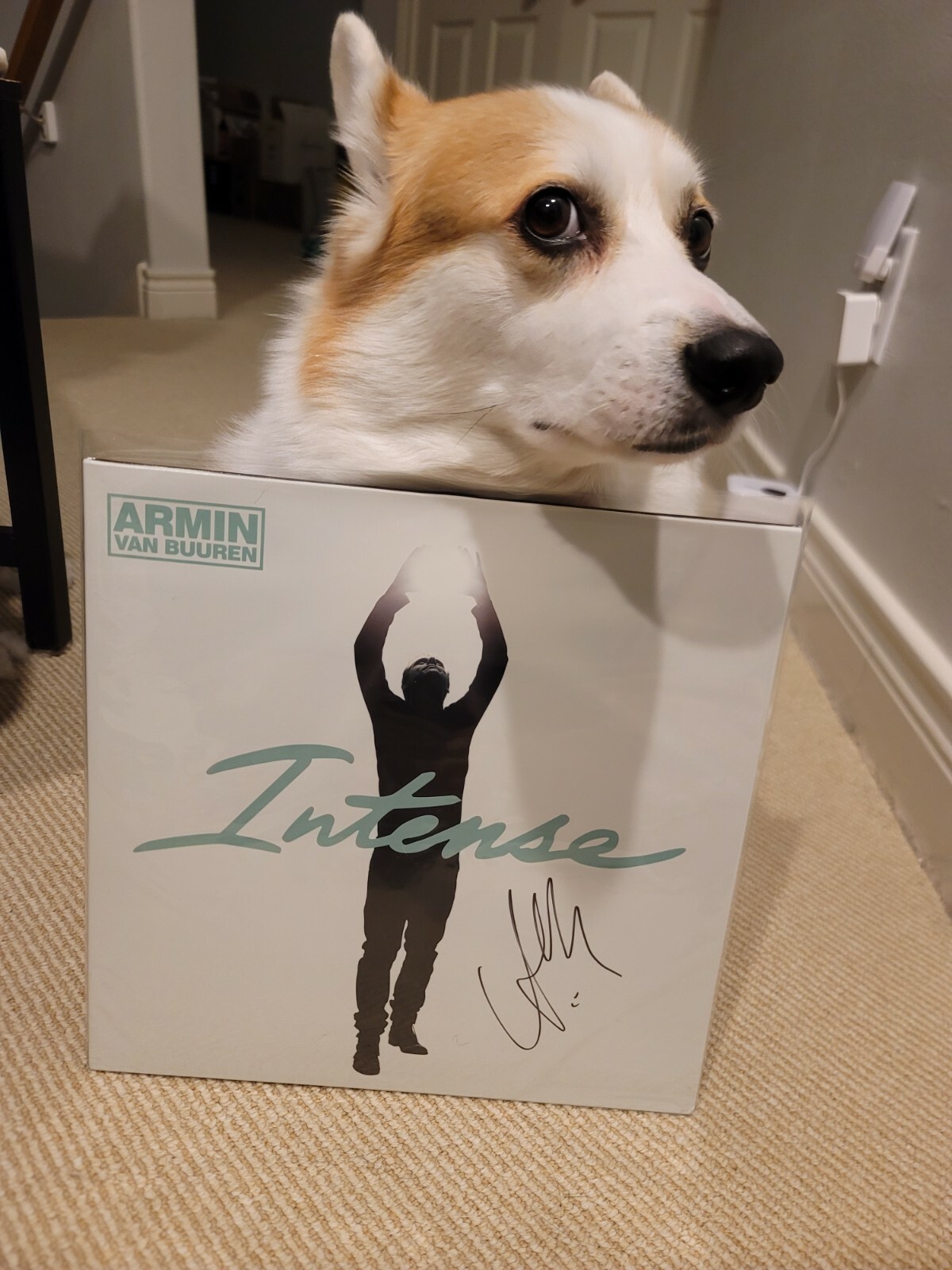 Signed/Autographed Armin van Buuren – Intense (2 x Vinyl, LP, Album, Reissue)