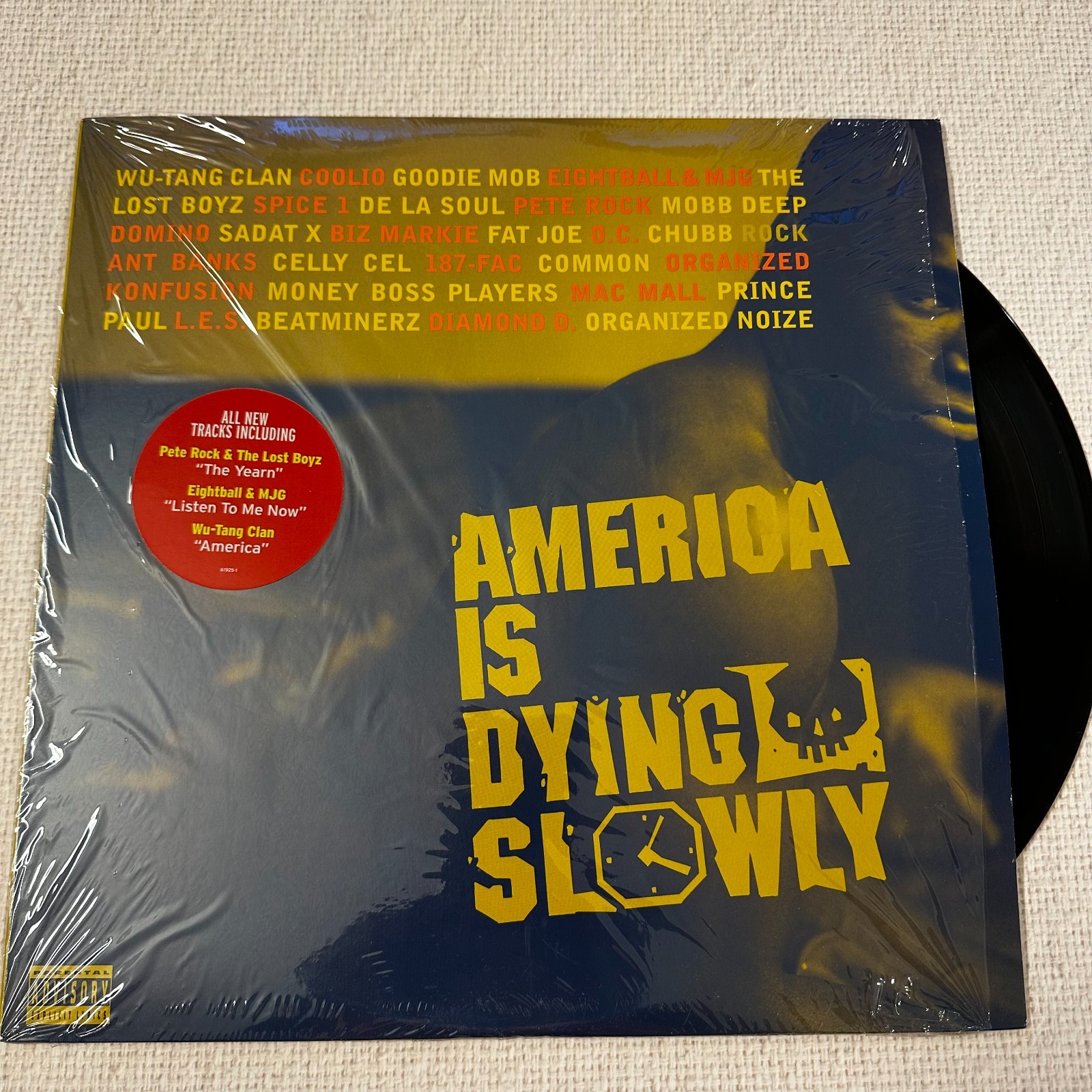 [Great Condition] Various / AMERICA IS DYING SLOWLY 1996 US ORIGINAL VINYL 2LP