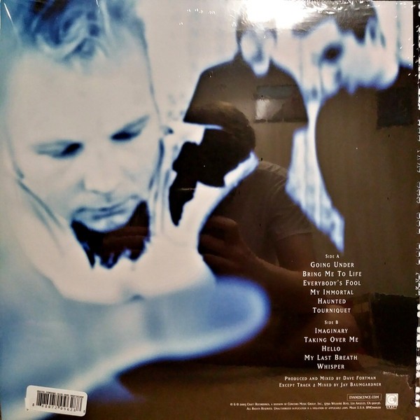 Evanescence – Fallen (LP) (Very Good Plus (VG+)) – 4272152736