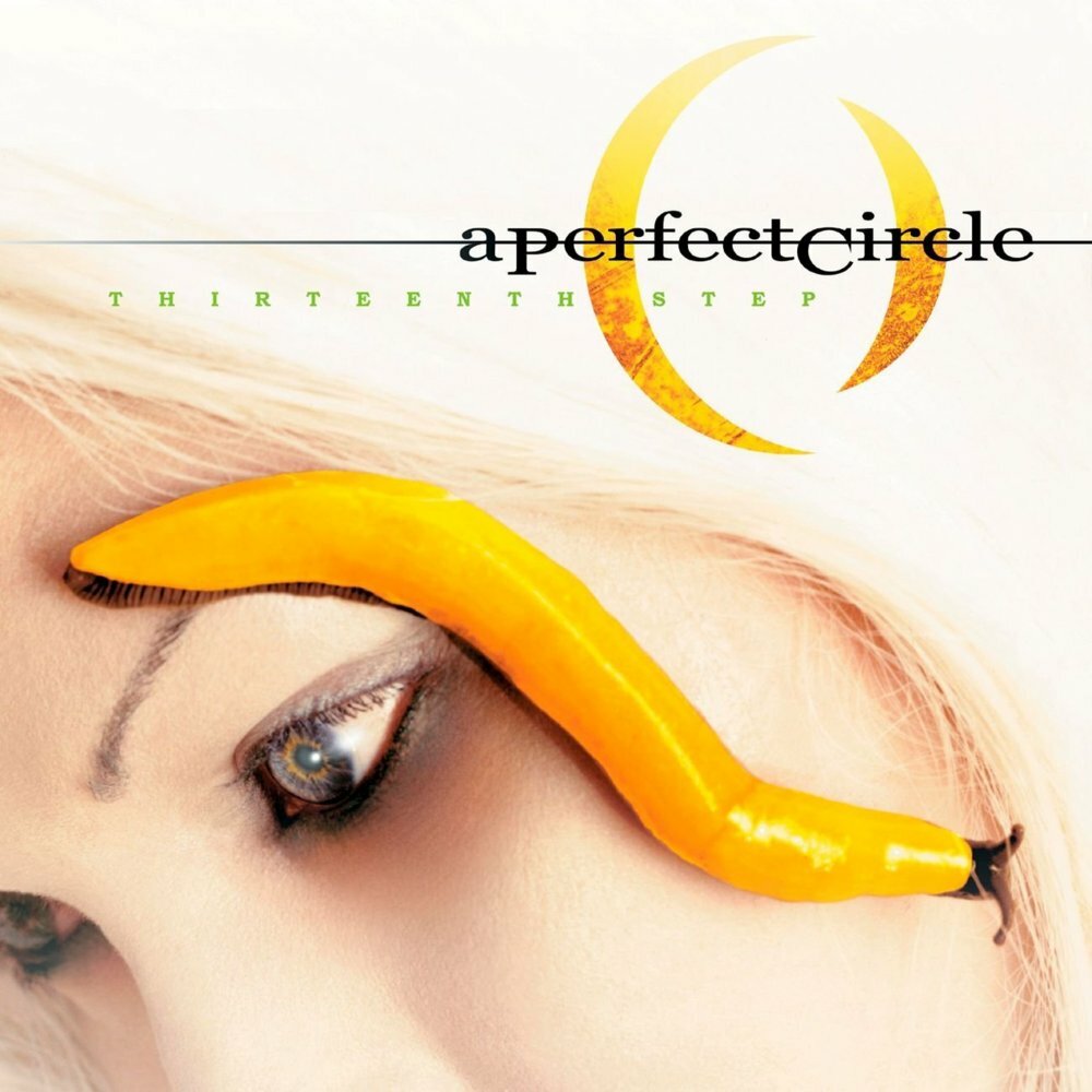 A Perfect Circle ‘Thirteenth Step’ Vinyl – NEW