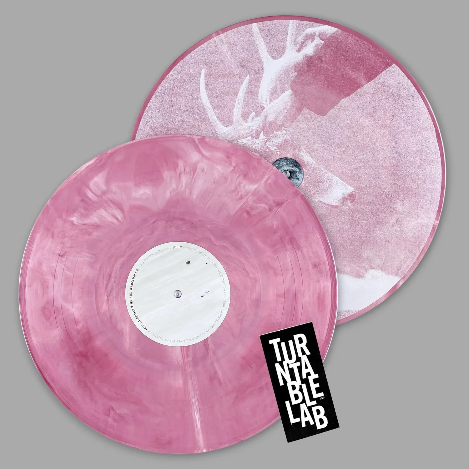 Racing Mount Pleasant (Colored Vinyl) Vinyl 2LP – Turntable Lab – Presale