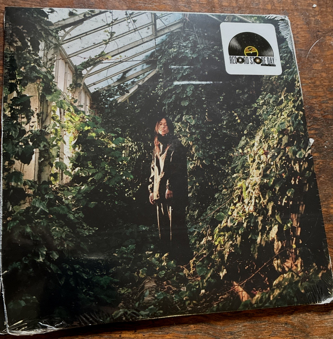 DEB NEVER Hellooo / Radio Alice SEALED RSD 2026 NUMBERED COLOR 7″ signed card!