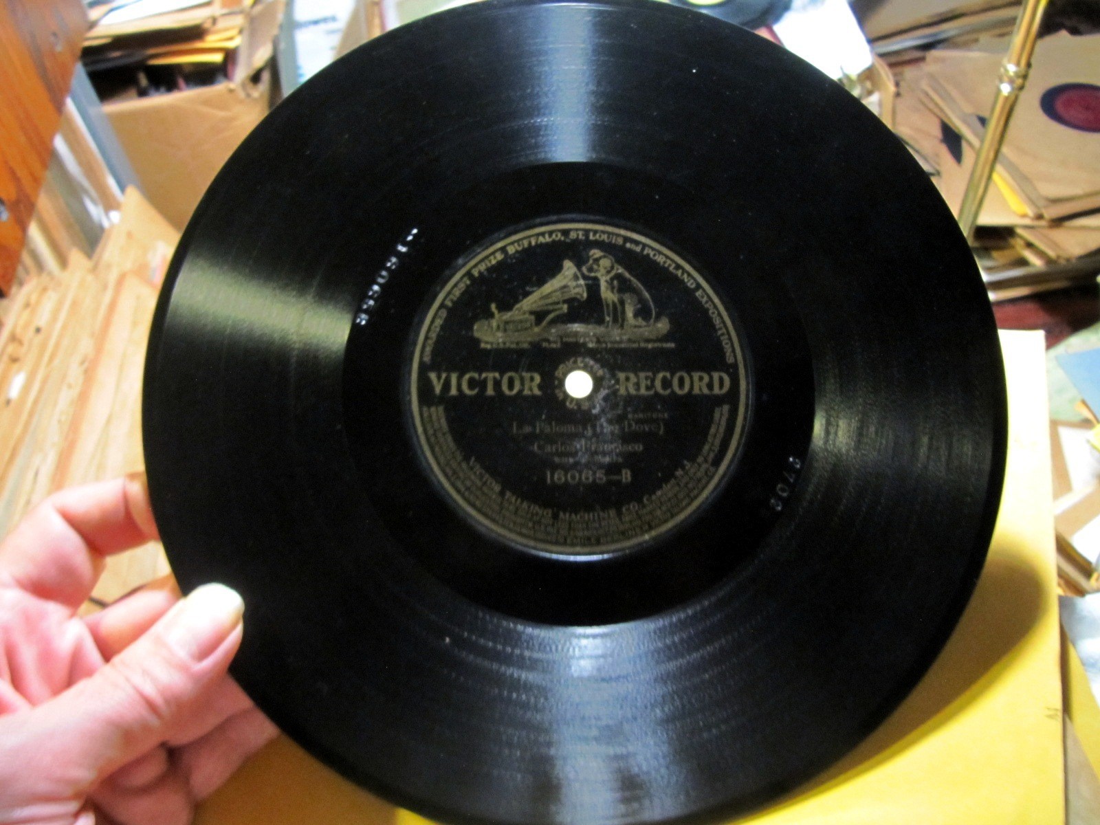 1st Take MEXICAN FOLK SONG 1904 CARLOS FRANCISCO La Paloma/ Golondrina VIC 16065