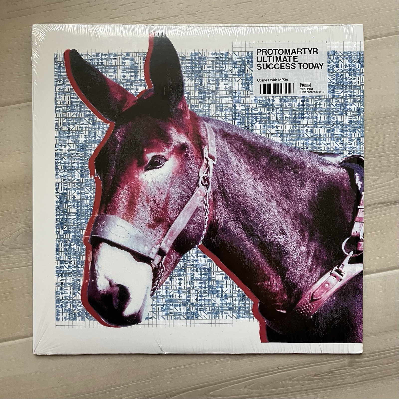 PROTOMARTYR ~ Ultimate Success Today