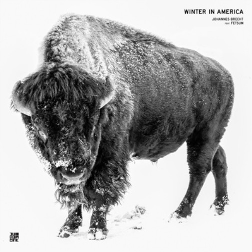 Johannes Brecht Winter in America (Feat. Fetsun) (Vinyl) 12″ Album (UK IMPORT)