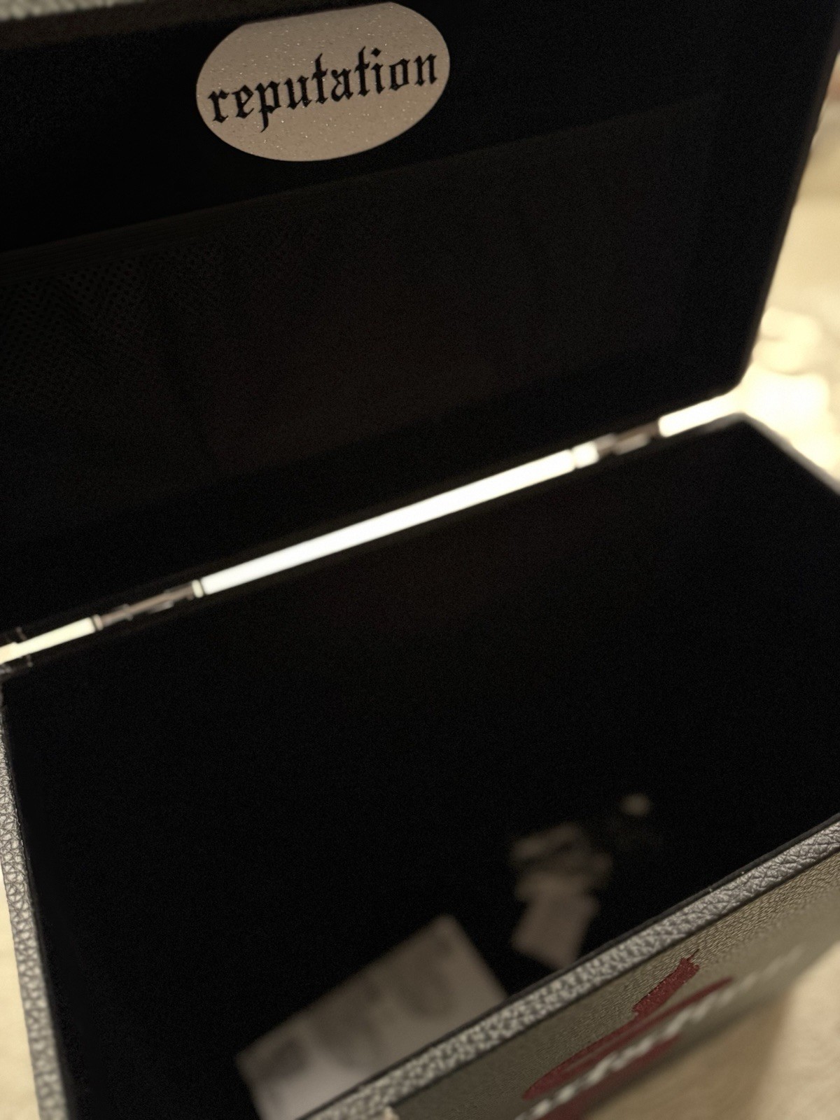REP Vinyl Record Case Holder Taylor Swift FRONT DESIGN ONLY