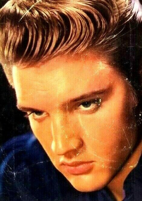 Elvis Presley 45rpm Don’t & I Beg of You 47-7150 (Picture Paper Sleeve Only)(S1A