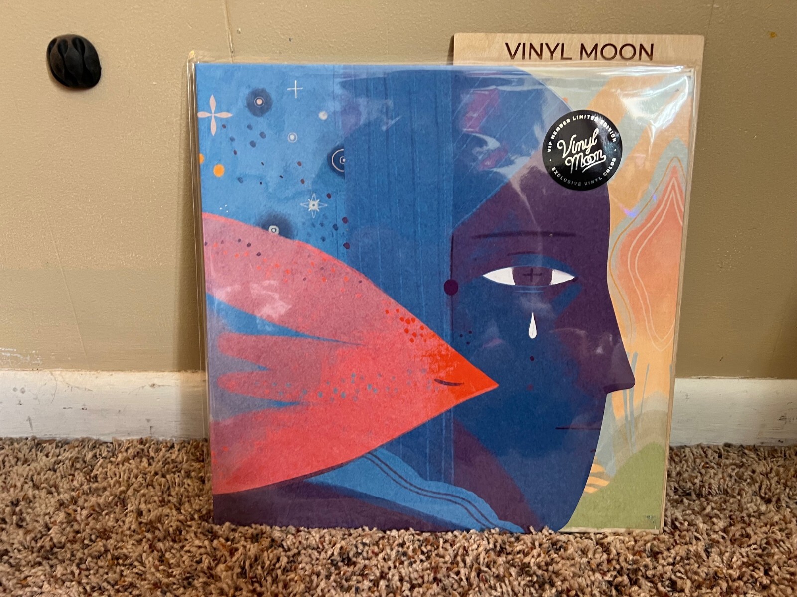 Vinyl Moon-Where Art & Music Meet. Record. Vinyl. Special Editions. Collectible.