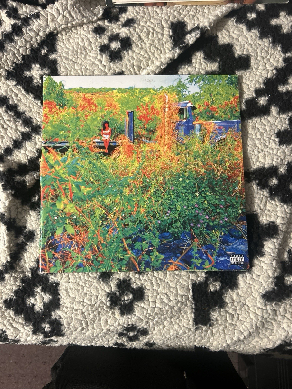 Jhené Aiko RSD 2026 Trip Vinyl