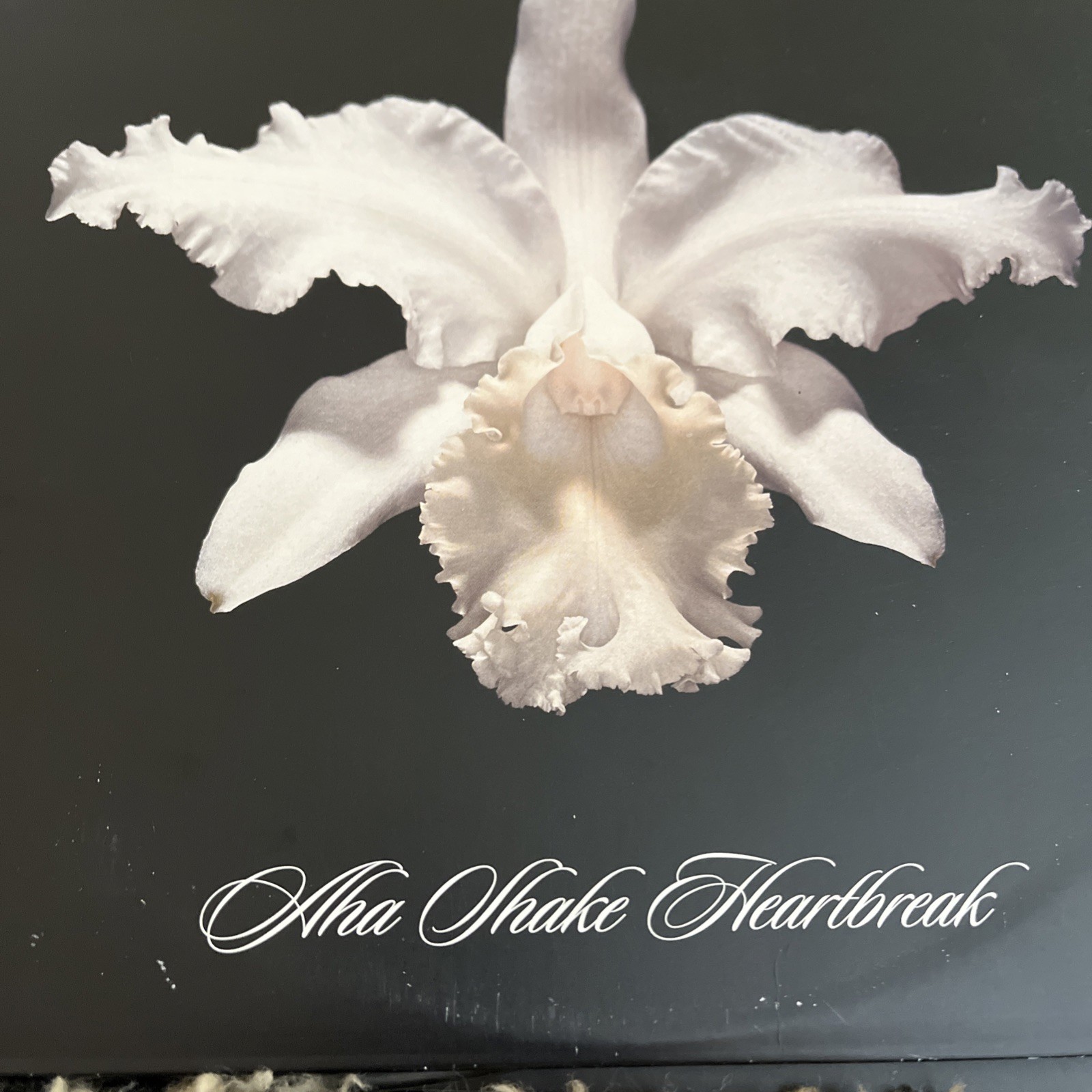 Aha Shake Heartbreak by Kings of Leon (Record, 2013)