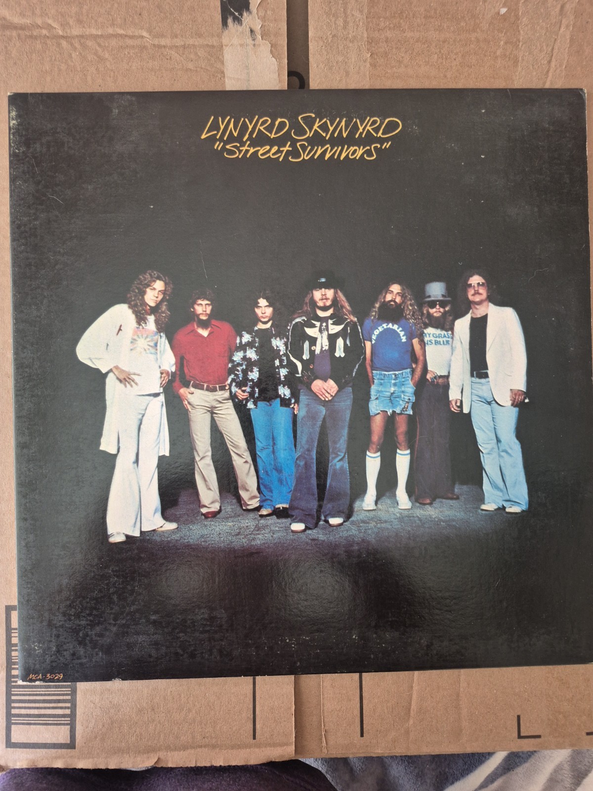 Lynyrd Skynyrd ~ Street Survivors (1977 MCA-3029) Rock LP, Vinyl Record