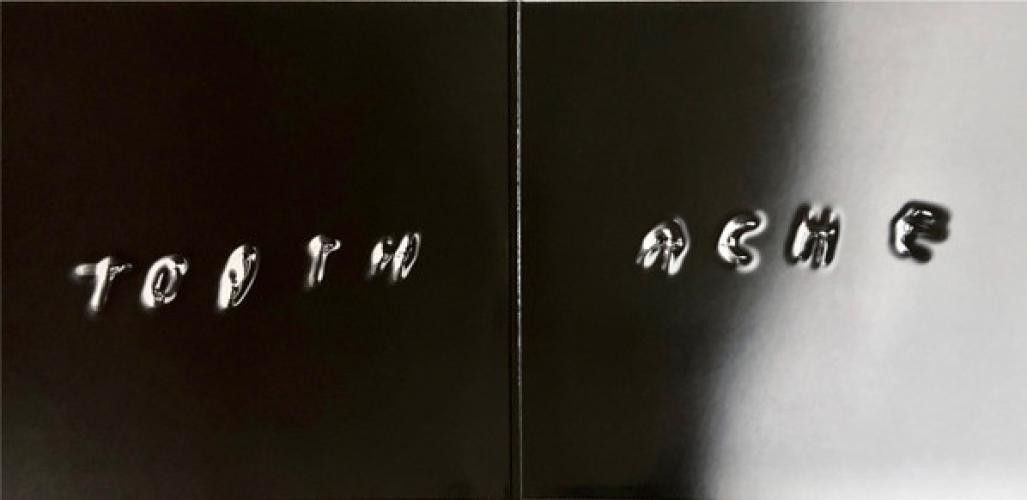 Post Malone – Twelve Carat Toothache (2xLP) (Mint (M)) – 4217405907
