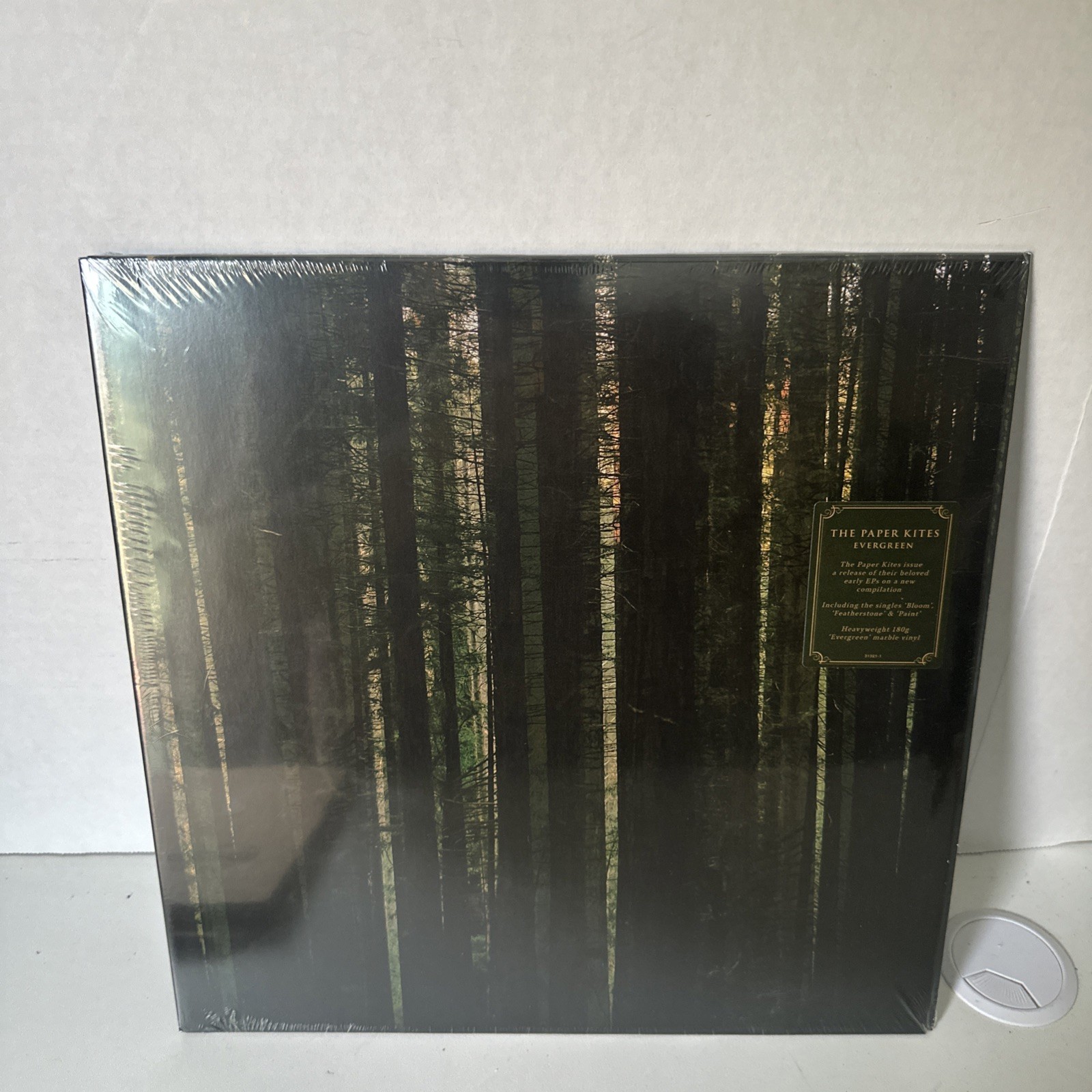 The Paper Kites EVERGREEN Record Store Day Limited Exclusive Vinyl