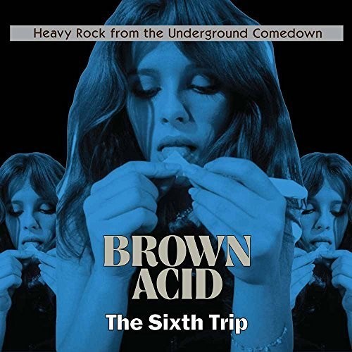Various Artists – Brown Acid – The Sixth Trip (Various Artists) [New Vinyl LP]