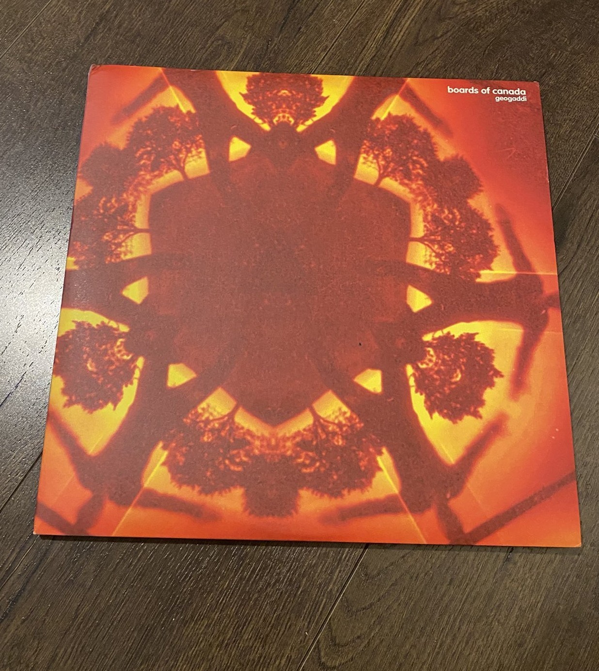Boards of Canada – Geogaddi 3xLP 2013 Reissue 140 Gram Triple Record