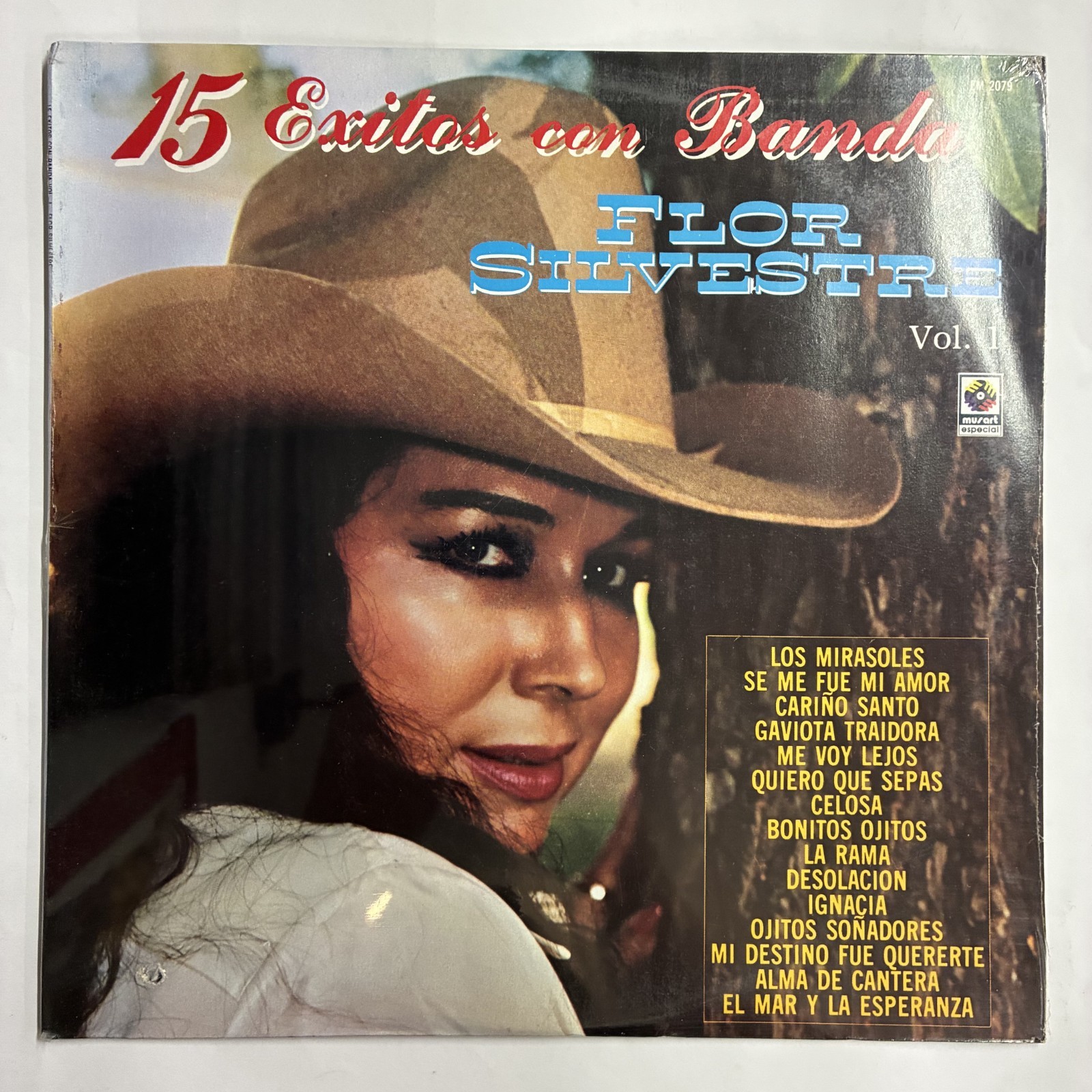 FLOR SILVESTRE – 15 EXITOS CON BANDA VOL 1 – 1989 MEXICAN LP SEALED PUNCH HOLE