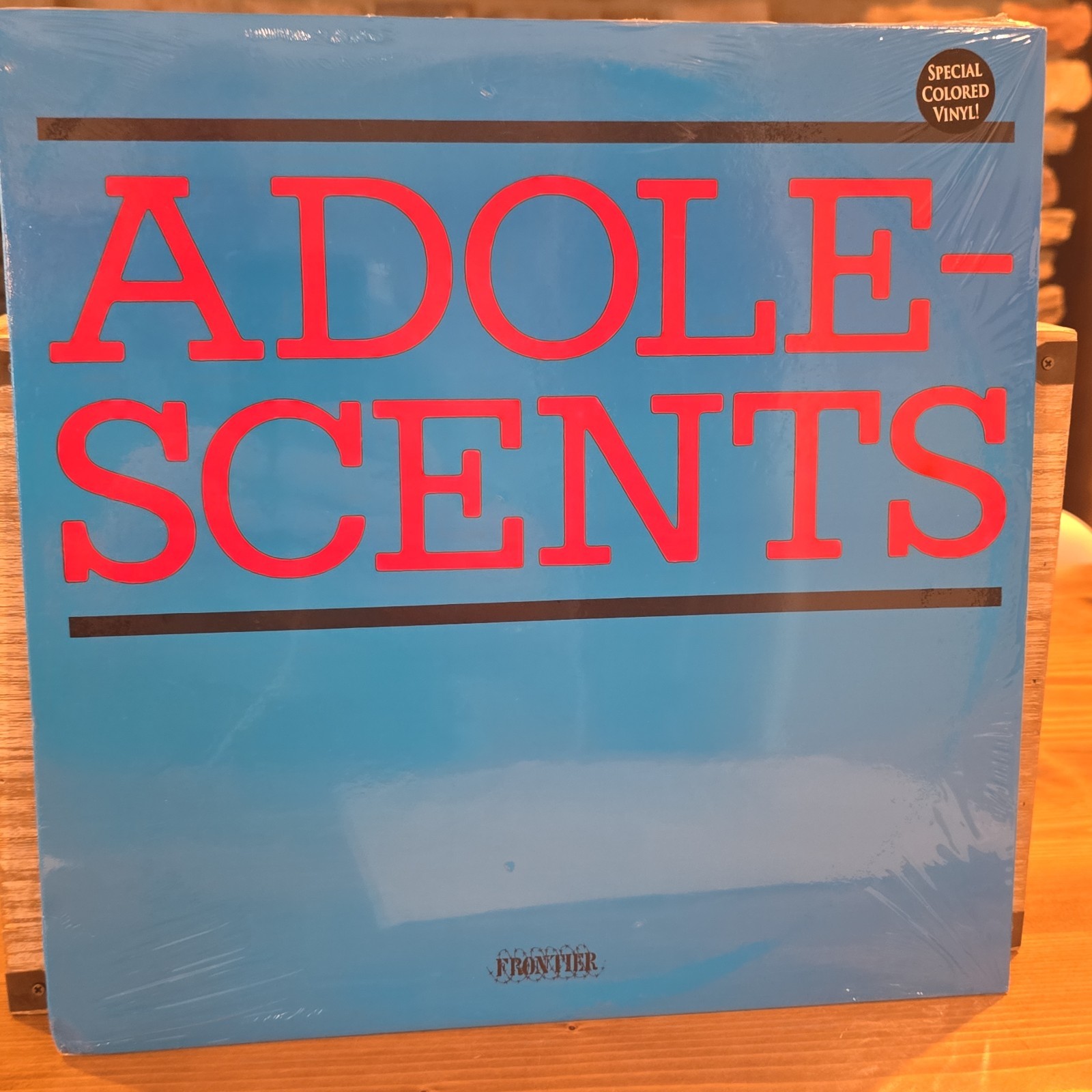 ADOLESCENTS Self Titled 2005 Repress Translucent Orange Vinyl LP NM/VG+ FLP1003