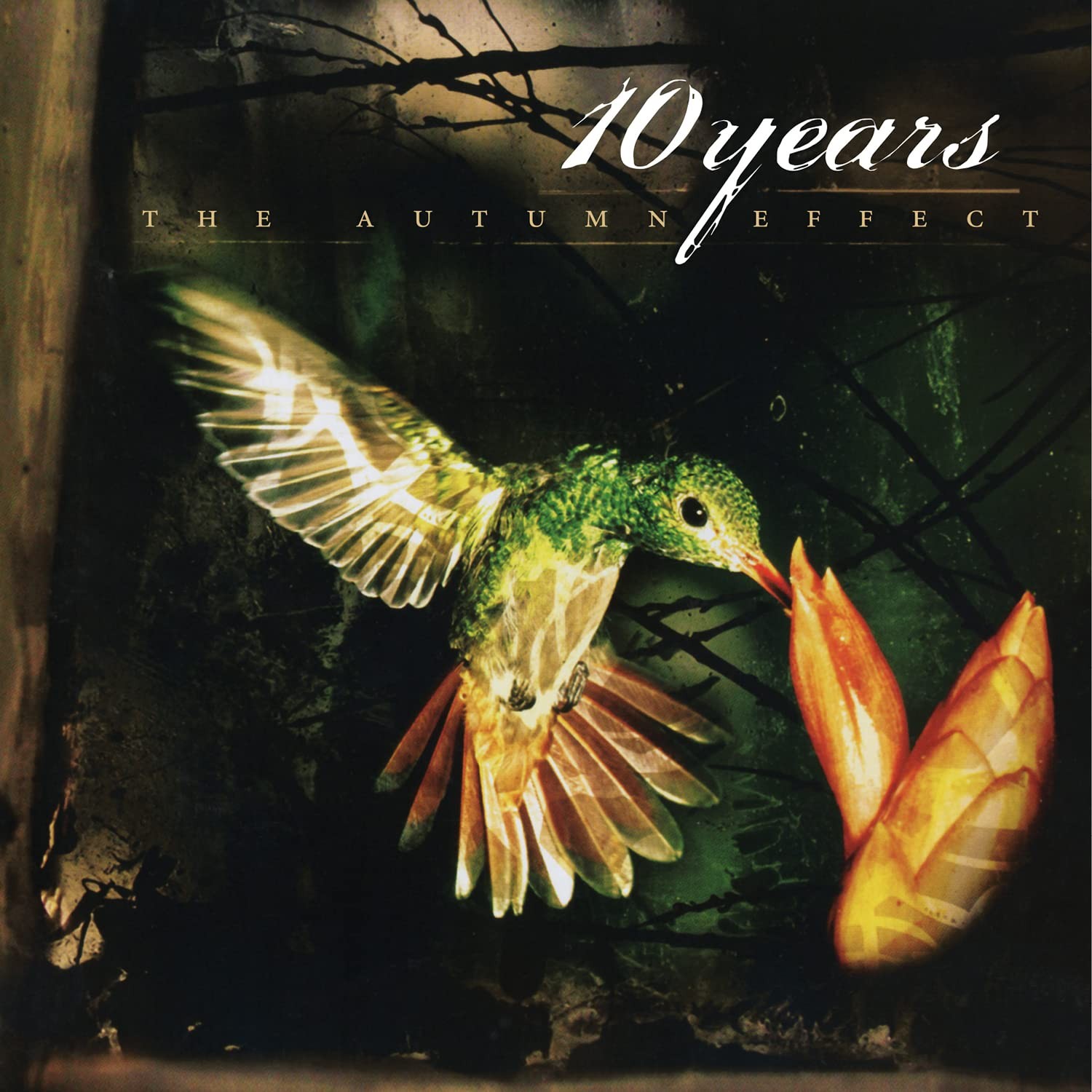 10 Years Autumn Effect (Vinyl) (UK IMPORT)