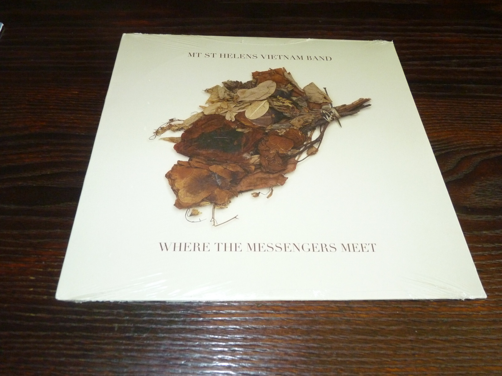 Mt St Helens Vietnam Band – Where The Messengers Meet (2010 Vinyl Record LP) New