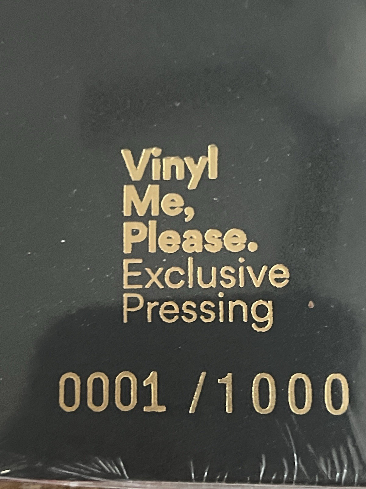 When The Wind Forgets Your Name Built to Spill (2022) New Purple Vinyl #1/1000