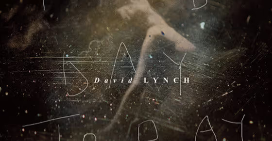 David Lynch – Good Day Today / I Know – Deluxe Vinyl Edition – SEALED – MINT