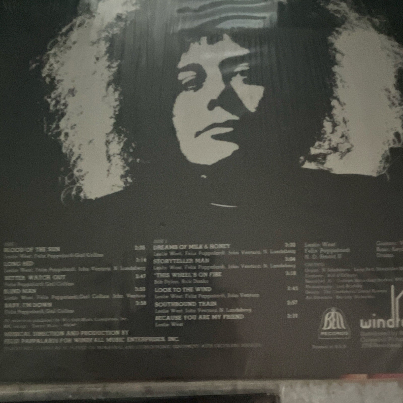 Mountain / Leslie West Flowers of Evil Windfall Vinyl LP Rock Cardboard Sleeve