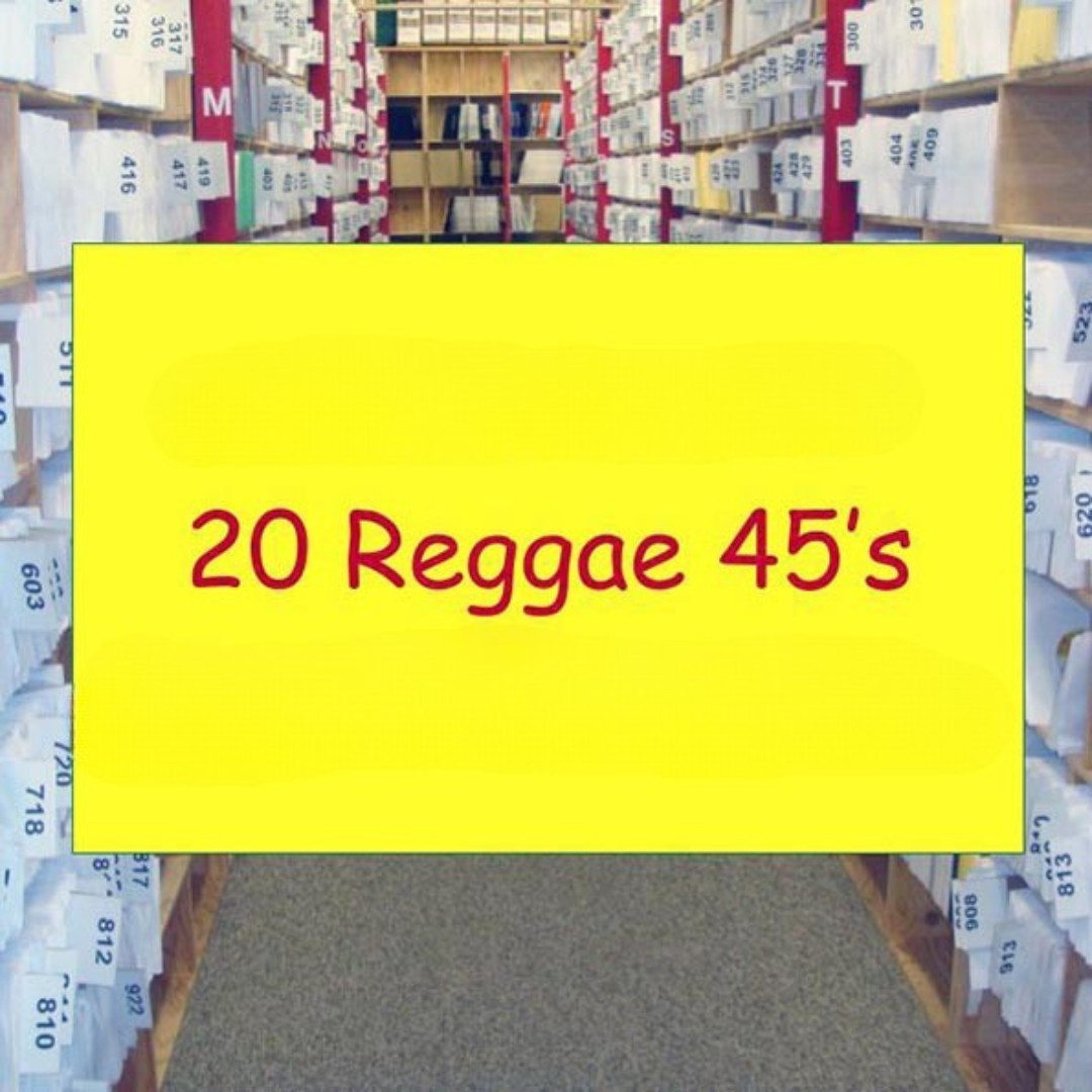 Reggae Vinyl Lot 20 New 7″ 45s Mikey Melody, Suzanne Couch, Capleton, Seeed, TOK