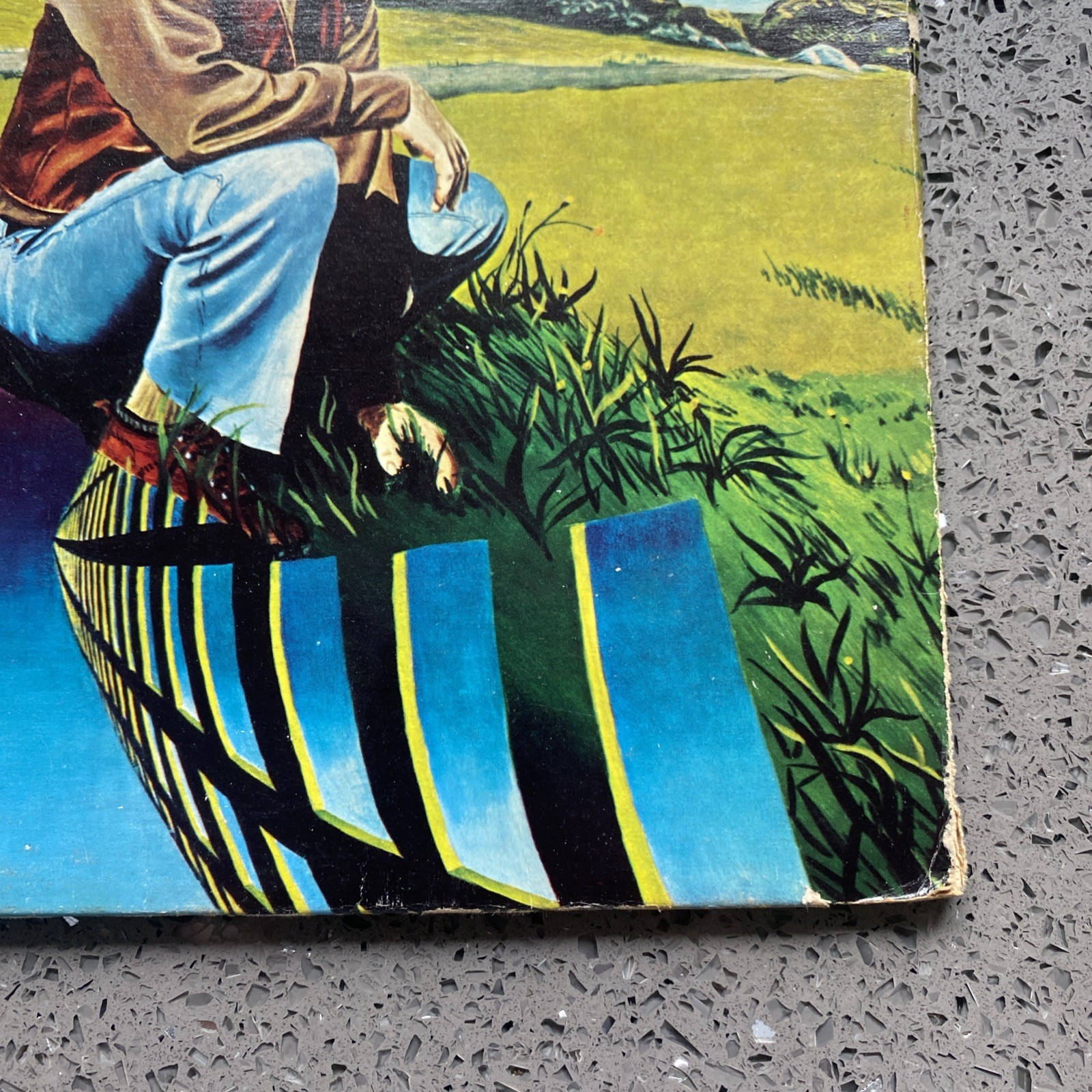 Van Morrison “Hard Nose The Highway” Rare Canada vinyl 1973 Warner Bros BS 2712