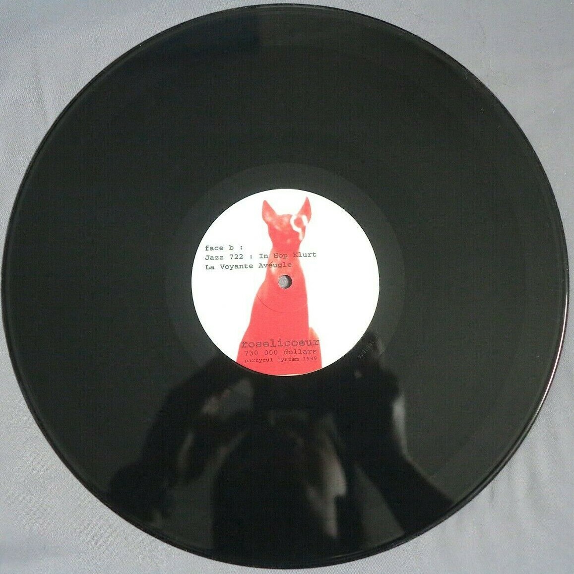 Roselicoeur 730 000 DOLLARS Partycul System PRIVATE PRESS post-rock lp IMPORT