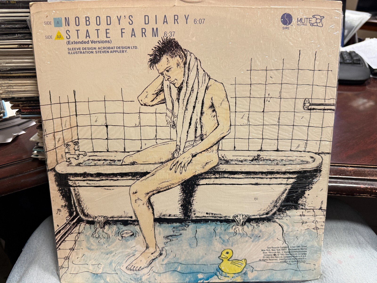 YAZ NOBODY’S DIARY STATE FARM 12″ 1983 SIRE MUTE 20121 YAZOO SHRINK