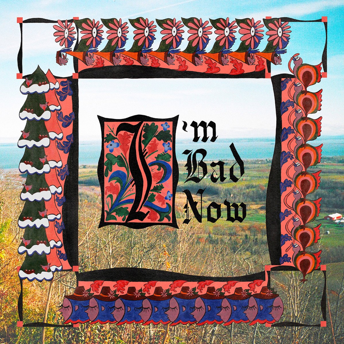 Nap Eyes I’m Bad Now (Vinyl) 12″ Album (UK IMPORT)