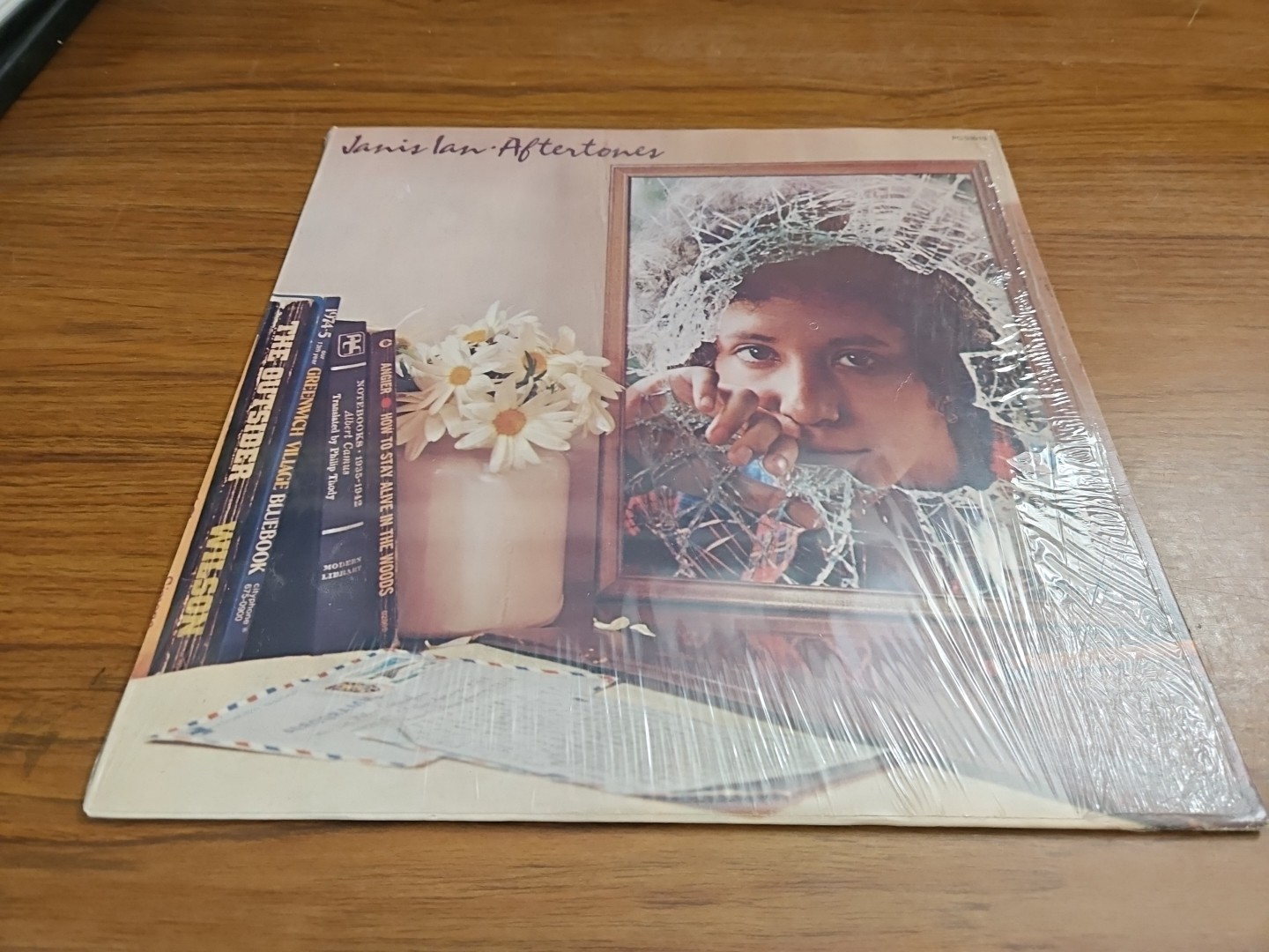 Disco Vinile 33 giri LP JANIS IAN – AFTERTONES 1976 CBS. EX