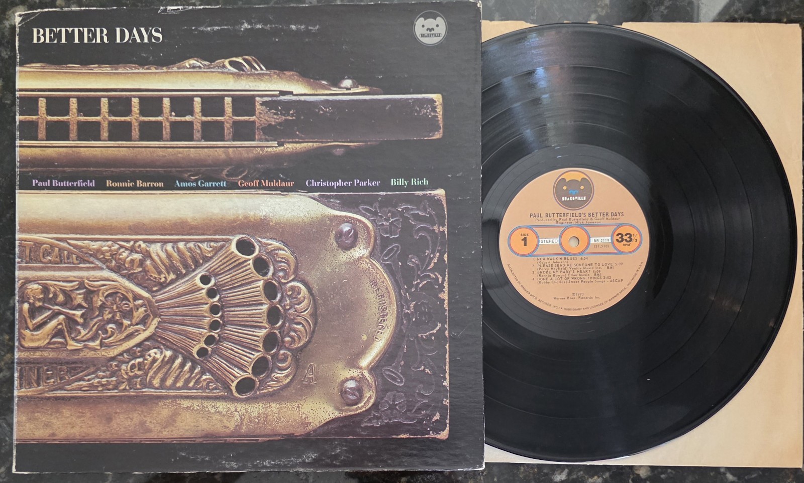 Paul Butterfield Better Days 1973 Bearsville BR-2119 Vinyl LP VTG Record Blues