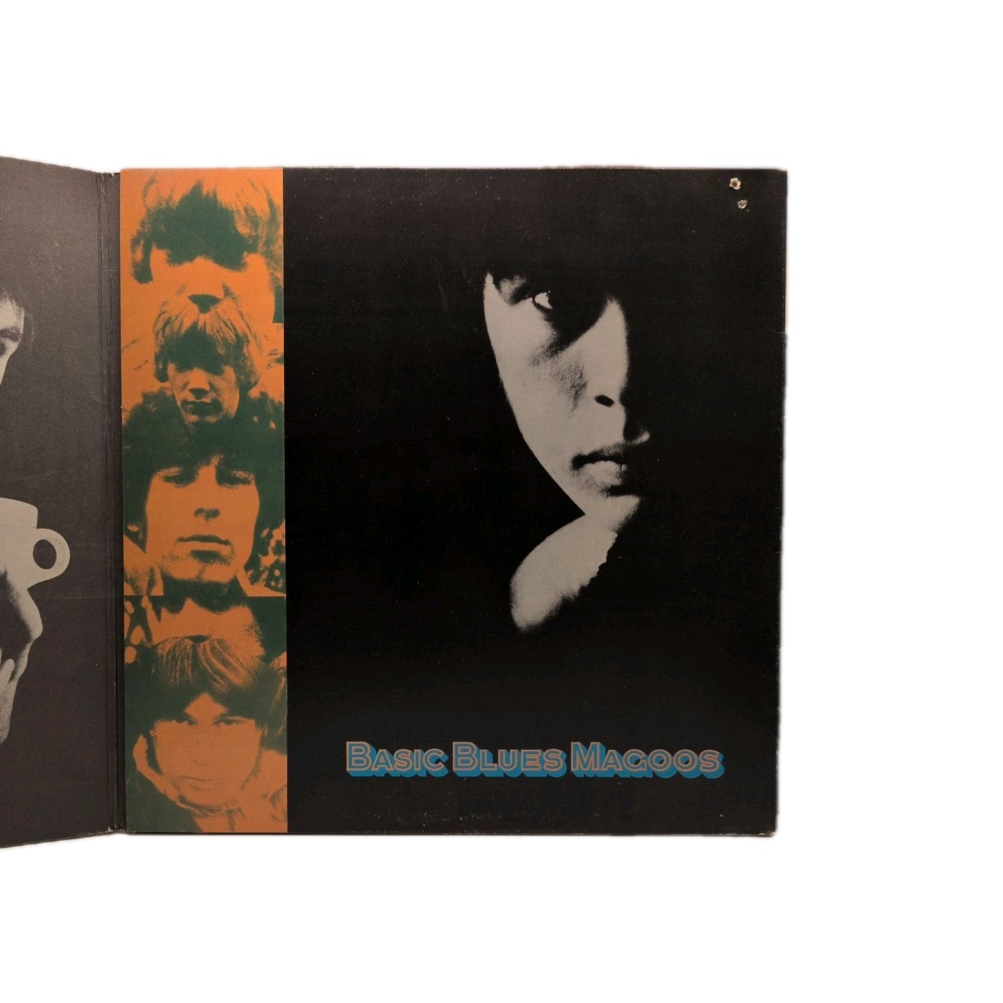 Basic Blues Magoos~EX Vinyl~Gatefold~Psychedelic Garage Rock