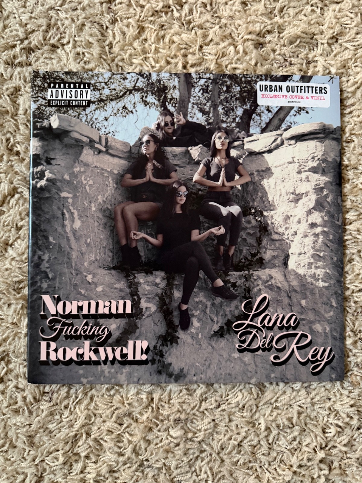 OPEN/NEW Lana Del Rey Norman Fucking Rockwell! Pink Vinyl 2LP Urban Outfitters