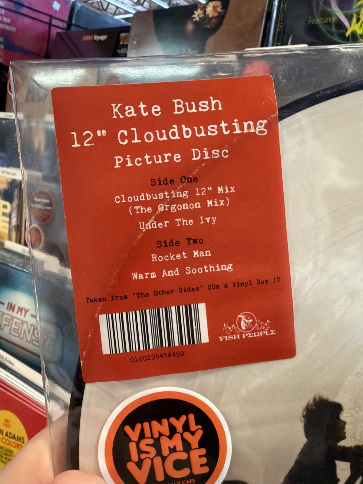 Cloudbusting by Kate Bush (Record, 2019)