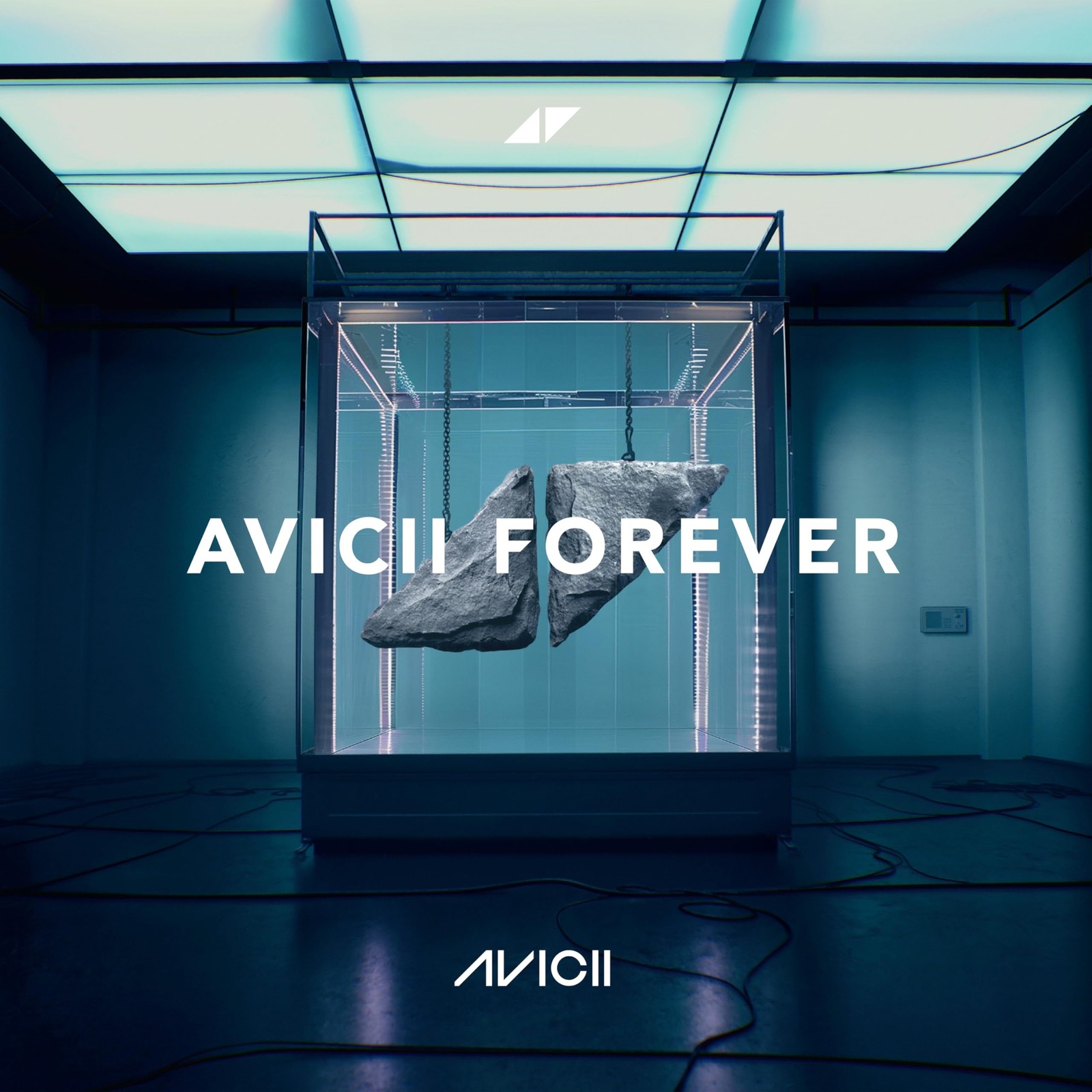AVICII AVICII – FOREVER (2LP) LP New