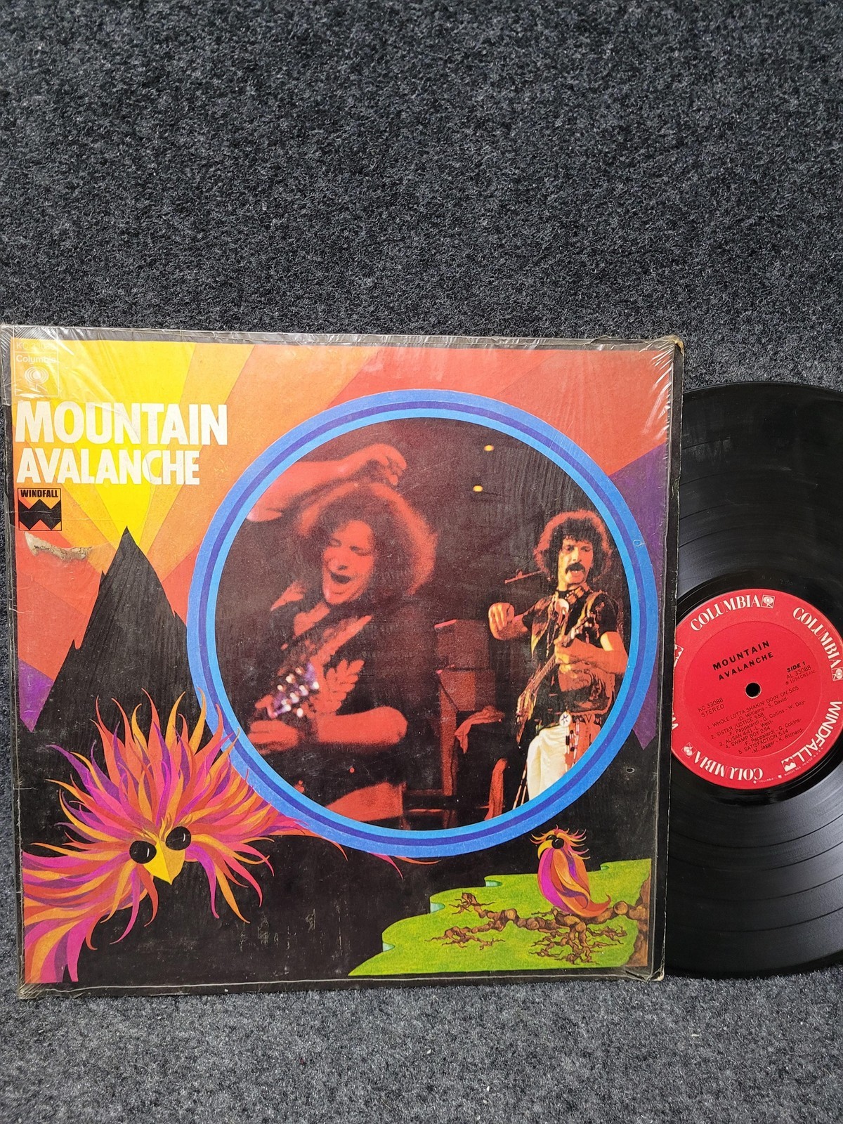 Vintage Mountain Avalanche 12″ Black Vinyl LP 1974 Windfall Rock Hard Rock Album