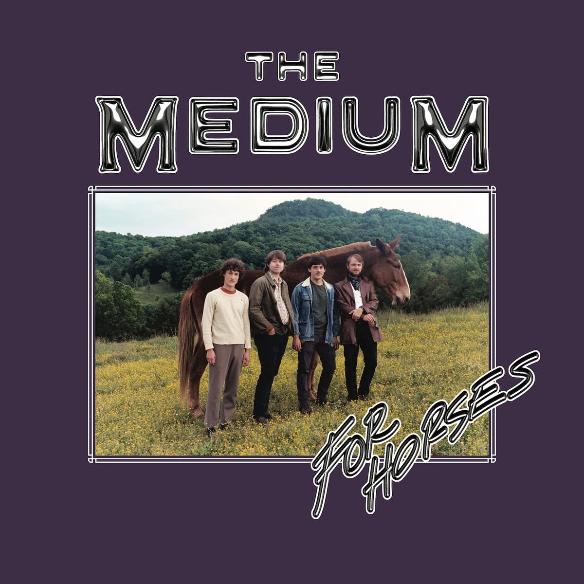 Medium For Horses Lp New