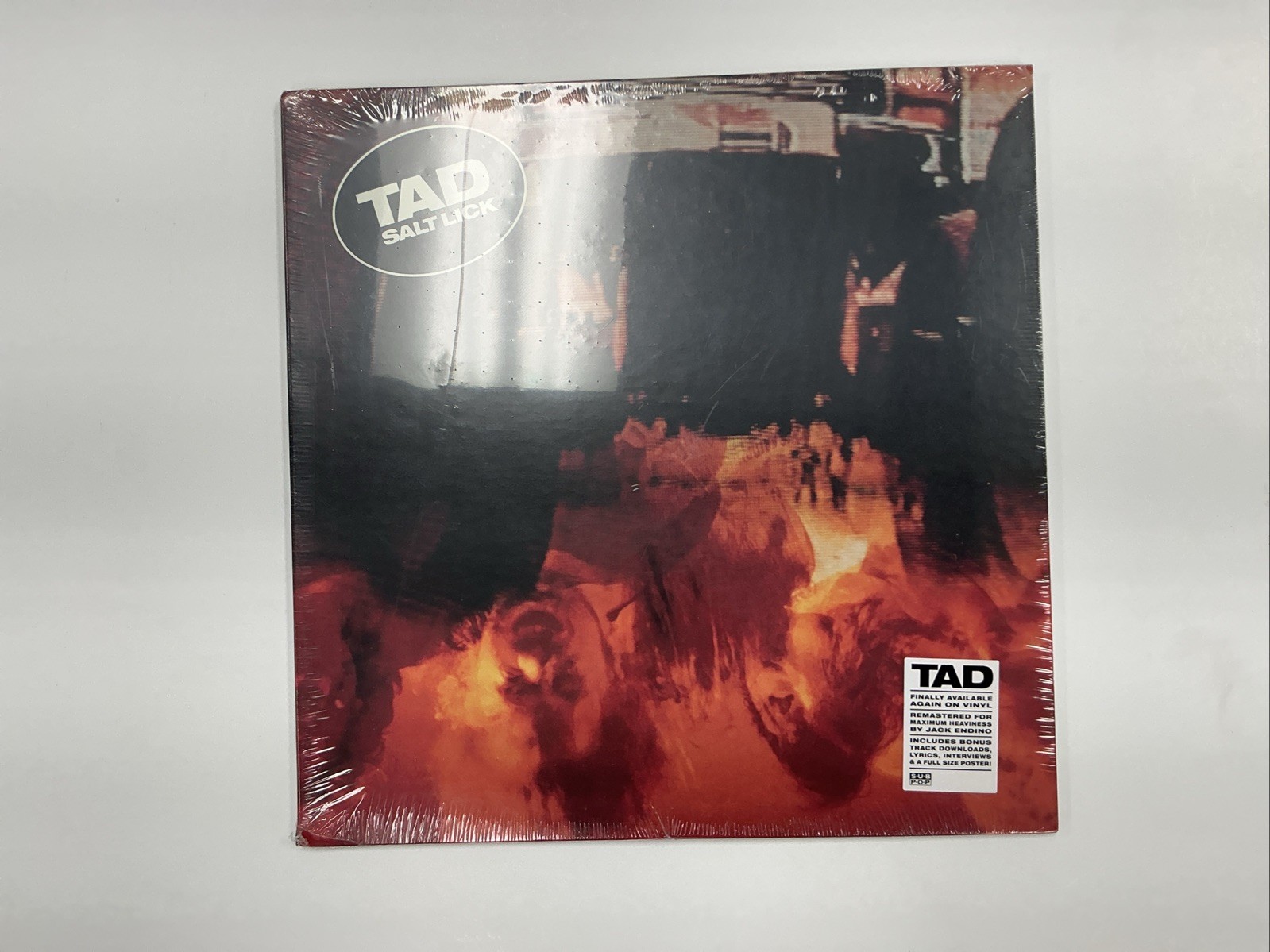 TAD – Salt Lick EP – Remastered Vinyl Record – New Sealed Grunge