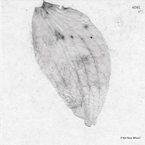 ADIEL IF NOT NOW WHEN? NEW 12 INCH VINYL SINGLE