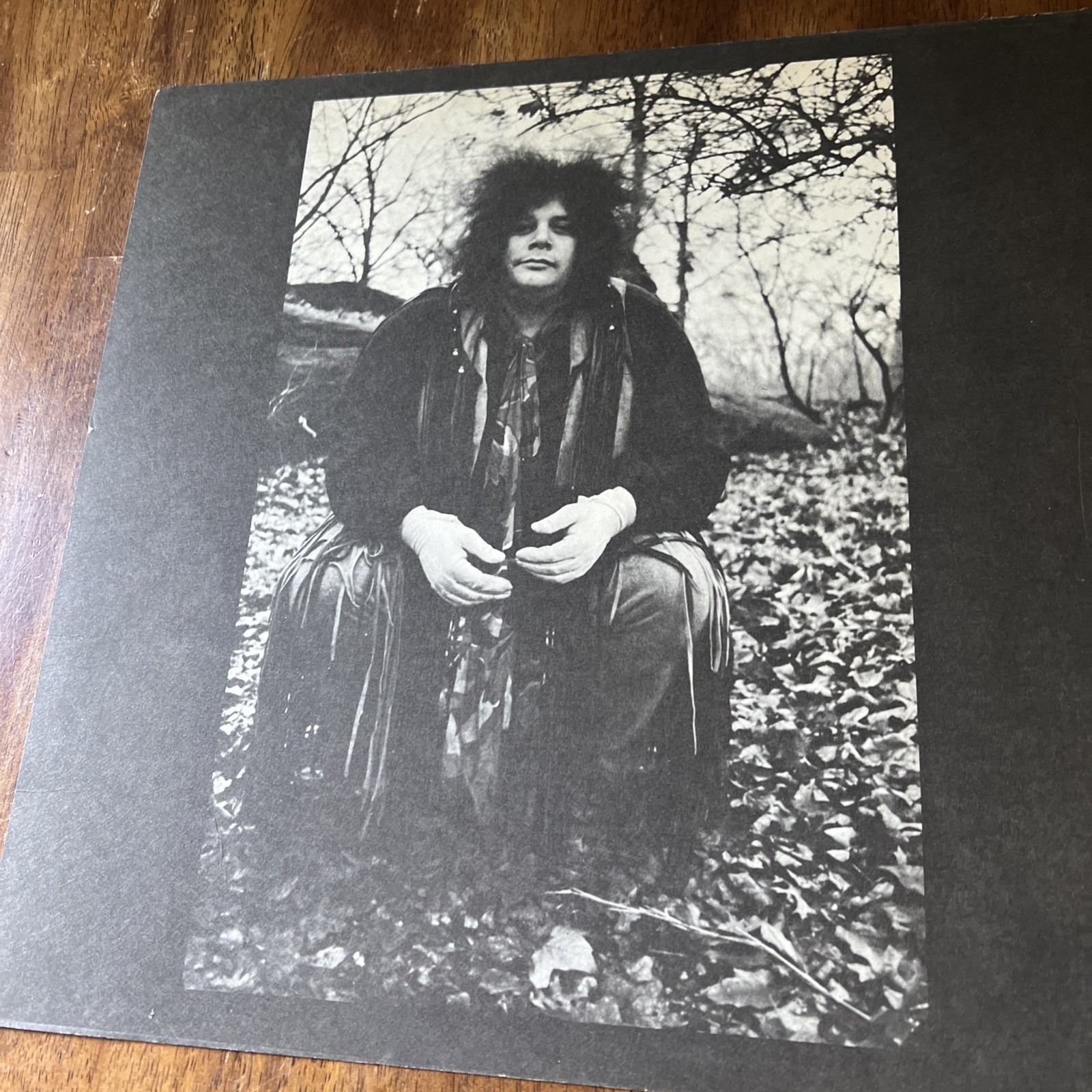 Mountain Climbing! Vinyl Record LP Windfall Bell Stereo Album Mississippi Queen