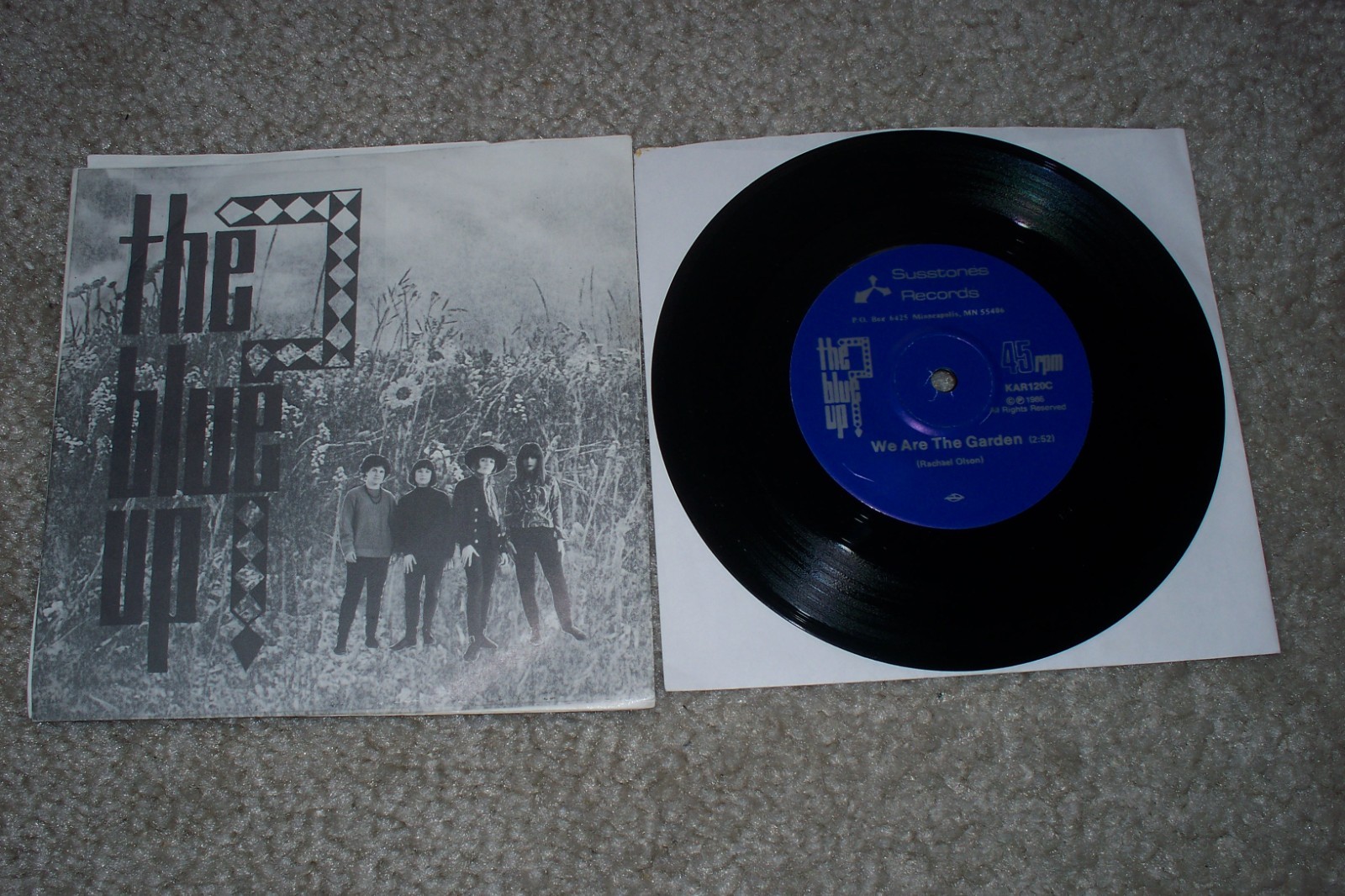 GARAGE ROCK-THE BLUE UP-WE ARE THE GARDEN/IT’S MY LIFE-SUSSTONES RECORDS 120