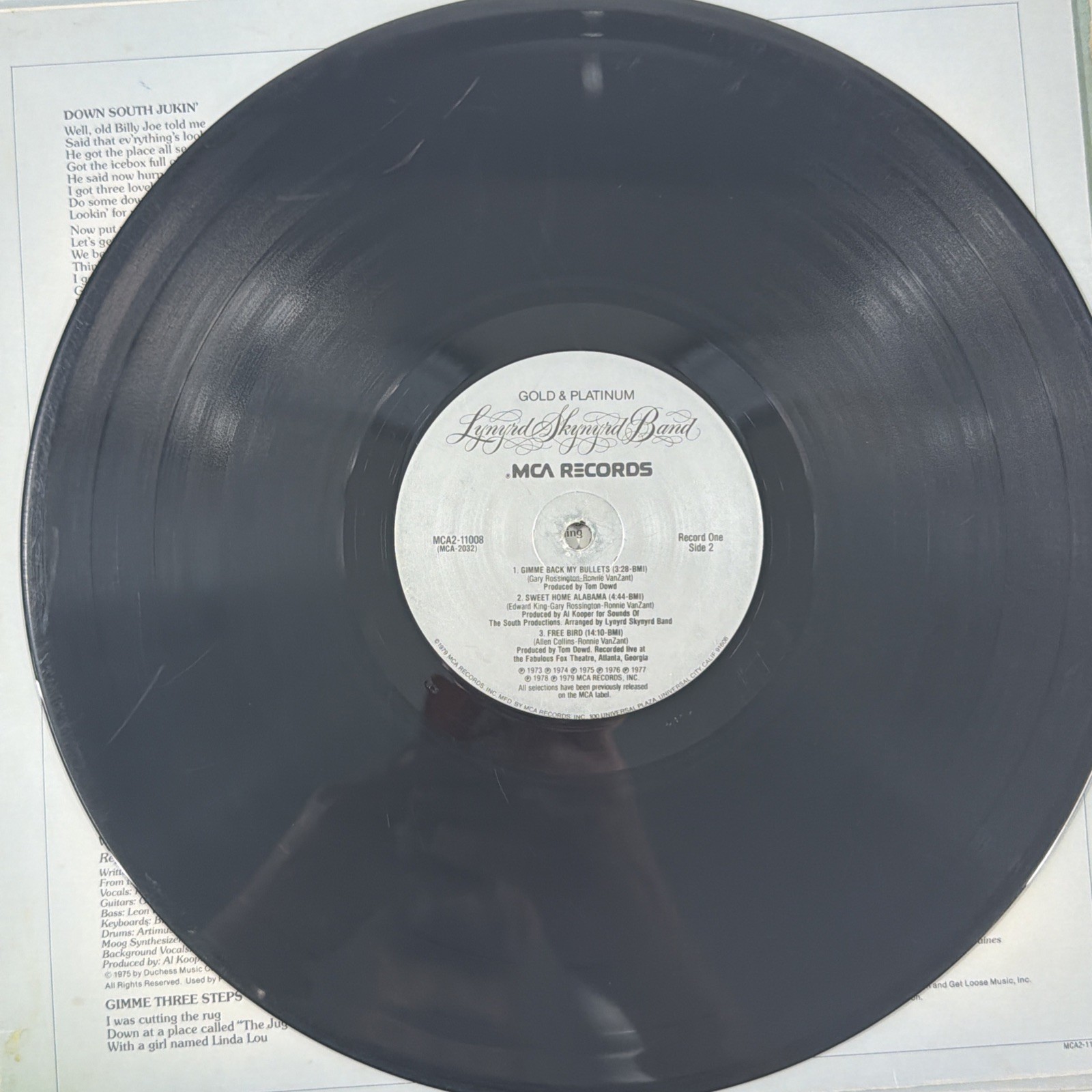 Lynyrd Skynyrd Gold & Platinum Band Double LP Vinyl Records 79