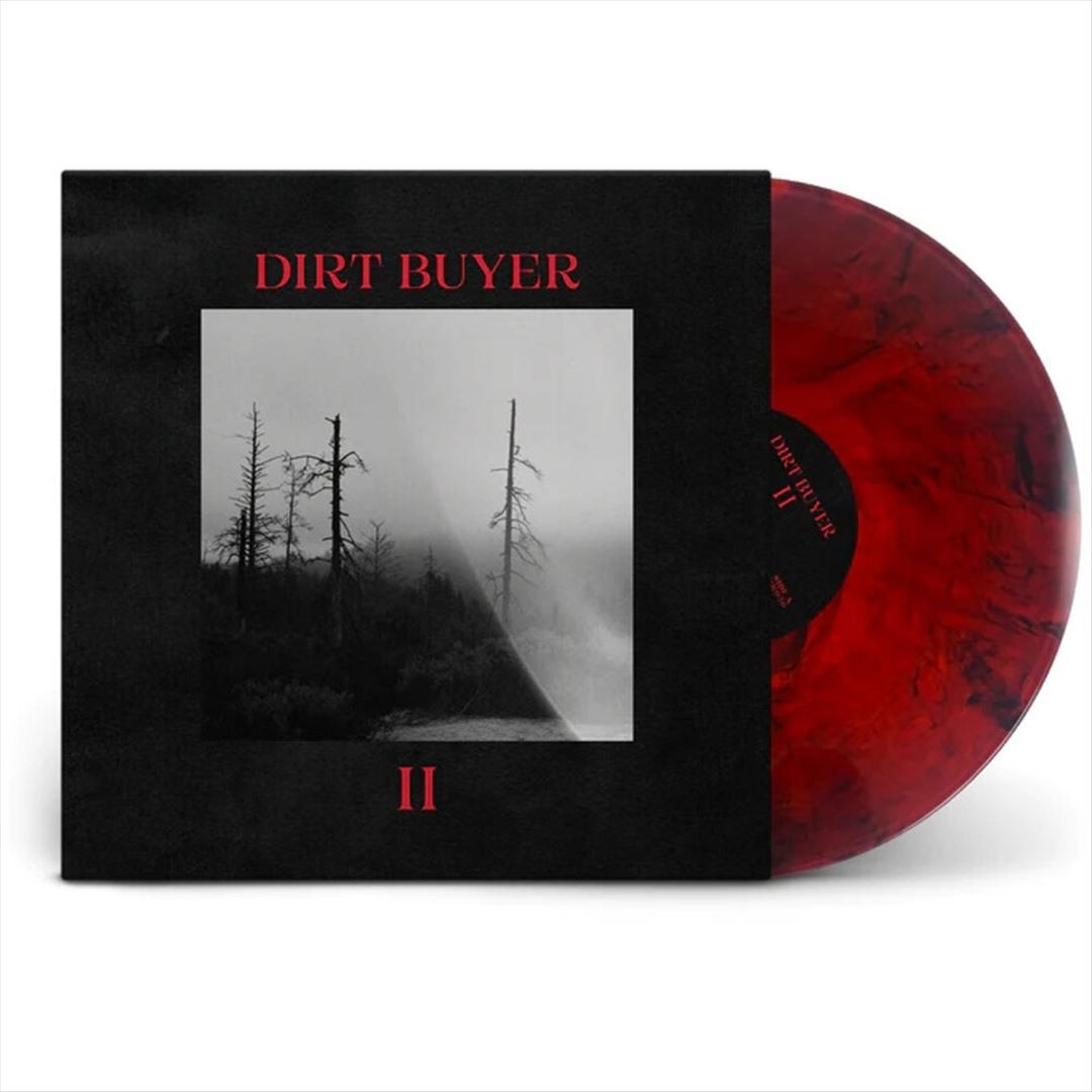 DIRT BUYER DIRT BUYER II NEW LP