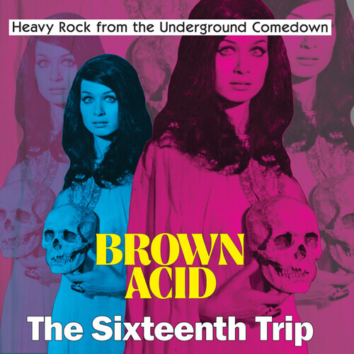Various Artists – Brown Acid – The Sixteenth Trip (Various Artists) [New Vinyl L