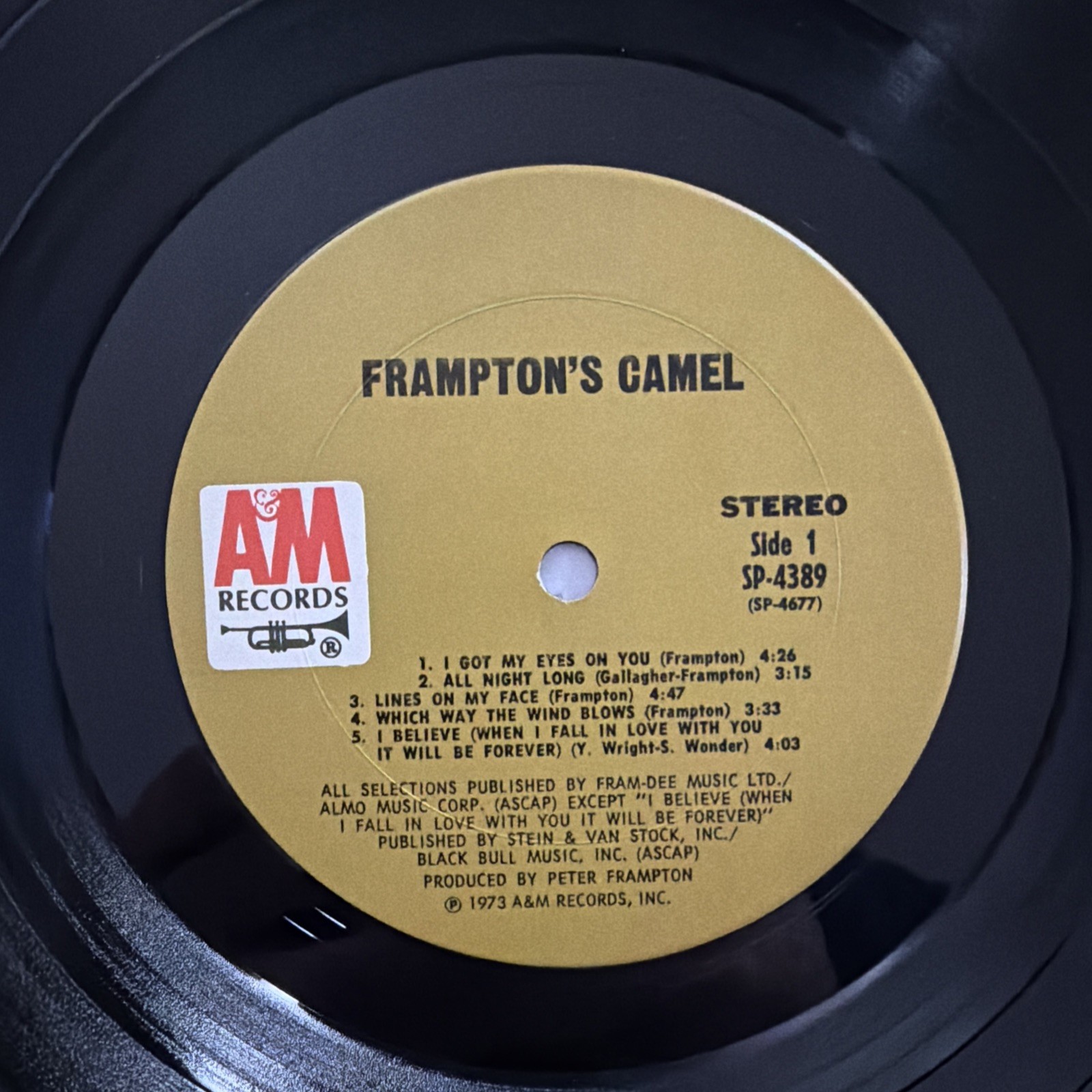 Frampton’s Camel: Frampton’s Camel LP (A&M SP-4389) Pitman 1973 Peter Frampton