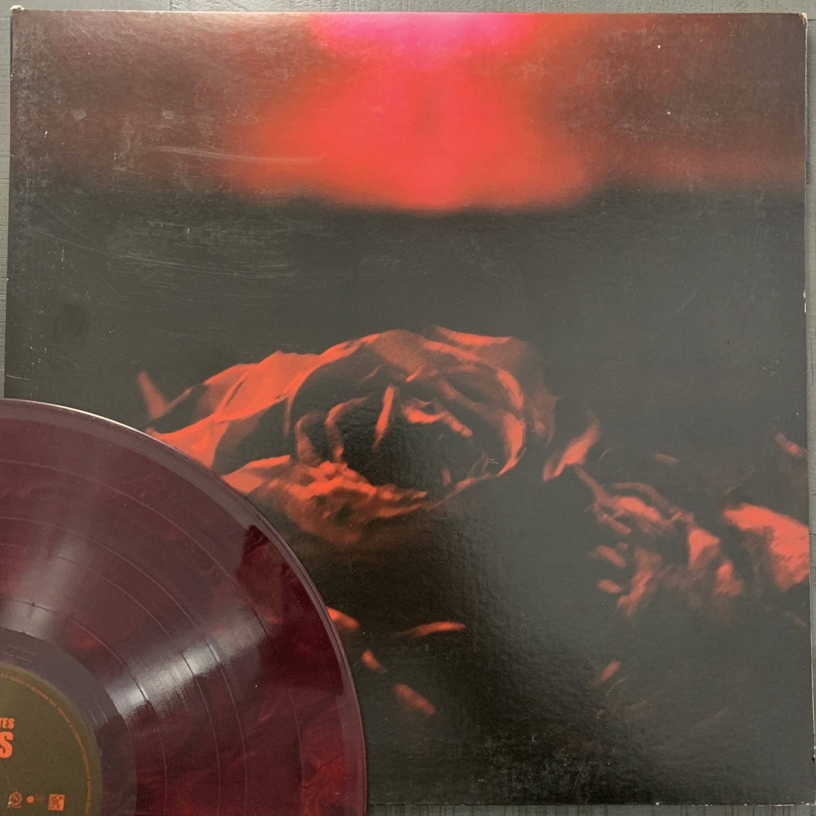 Paper Kites Roses Limited Colored (Cherry Bomb) Vinyl LP ~Mint!~ FULLY TESTED
