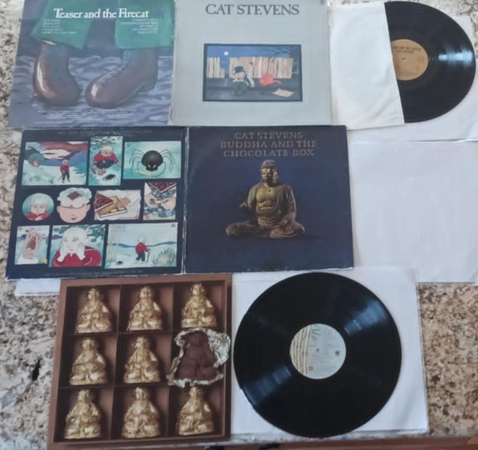 Folk Rock 33 LPs Lot of 25 – 60s 70s Cat Stevens Dylan Baez Nelson PP&Mary Etc..