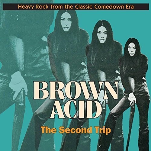 Various Artists – Brown Acid: Second Trip (Various Artists) [New Vinyl LP]